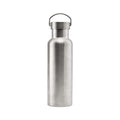 Stainless Steel Water Bottle with Handle Lid - 750 ml (25 oz)