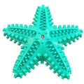 Starfish Floating Dog Toy with Squeaker - Turquoise
