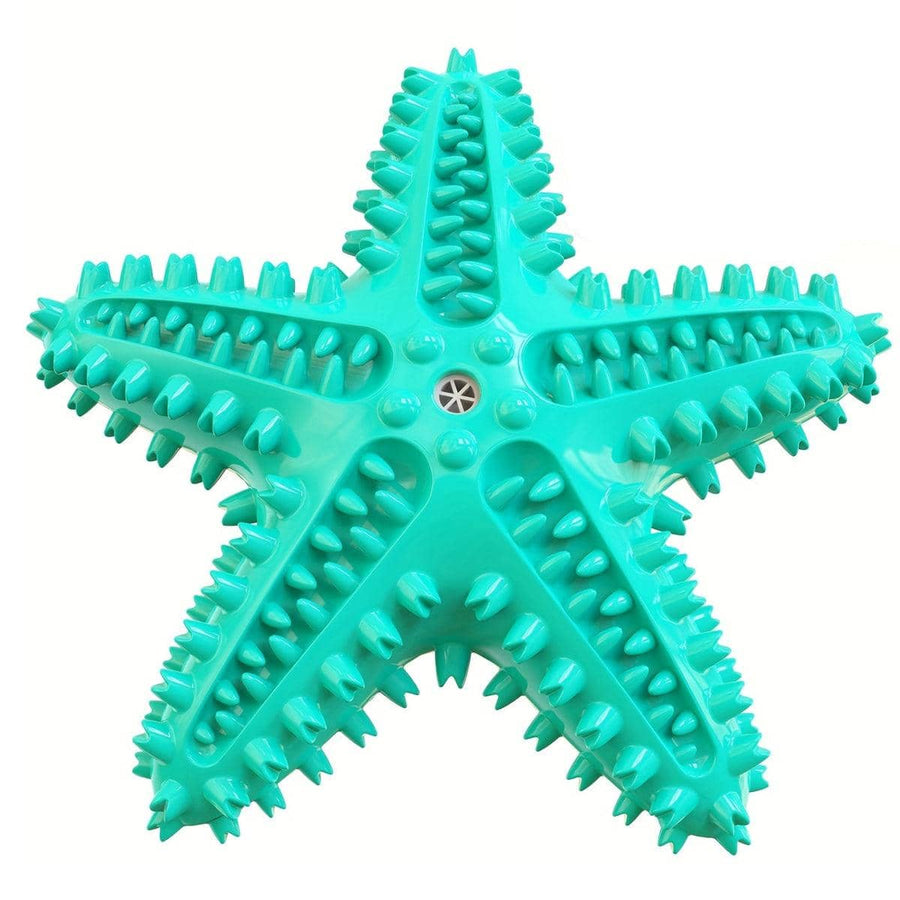Starfish Floating Dog Toy with Squeaker - Turquoise