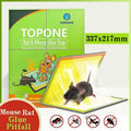 Sticky Mouse Trap Board, Snare Catcher Pad for Small Mice - Single - view 2