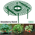 Strawberry Planting Shelf Vegetable Cultivation Rack Garden Potted Stand