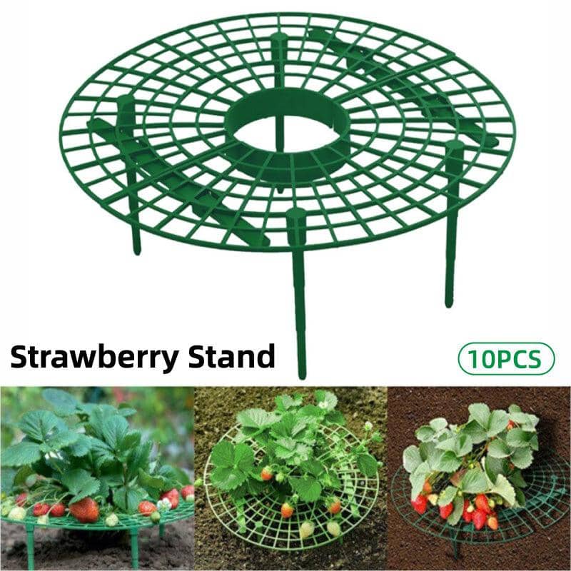 Strawberry Planting Shelf Vegetable Cultivation Rack Garden Potted Stand