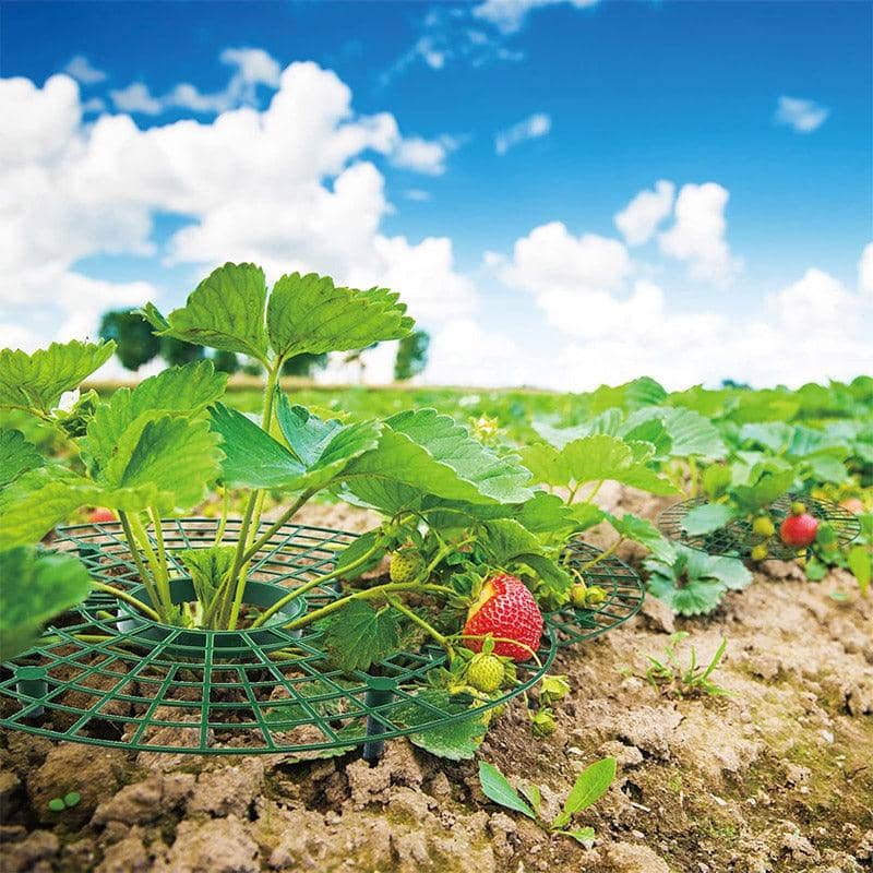 Strawberry Planting Shelf Vegetable Cultivation Rack Garden Potted Stand - view 5