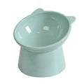 Tilted Elevated Pet Bowl for Cats and Dogs - Mint Green