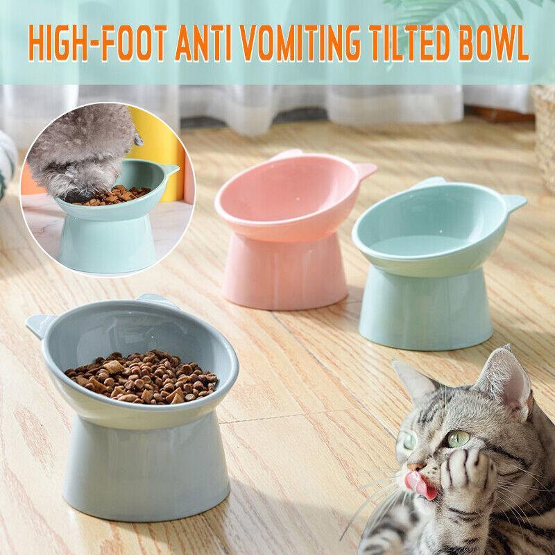 Tilted Elevated Pet Bowl for Cats and Dogs - Mint Green - view 2