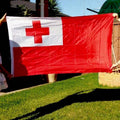 Tonga National Flag 90 x 150 cm Polyester Banner with Metal Grommets - view 5