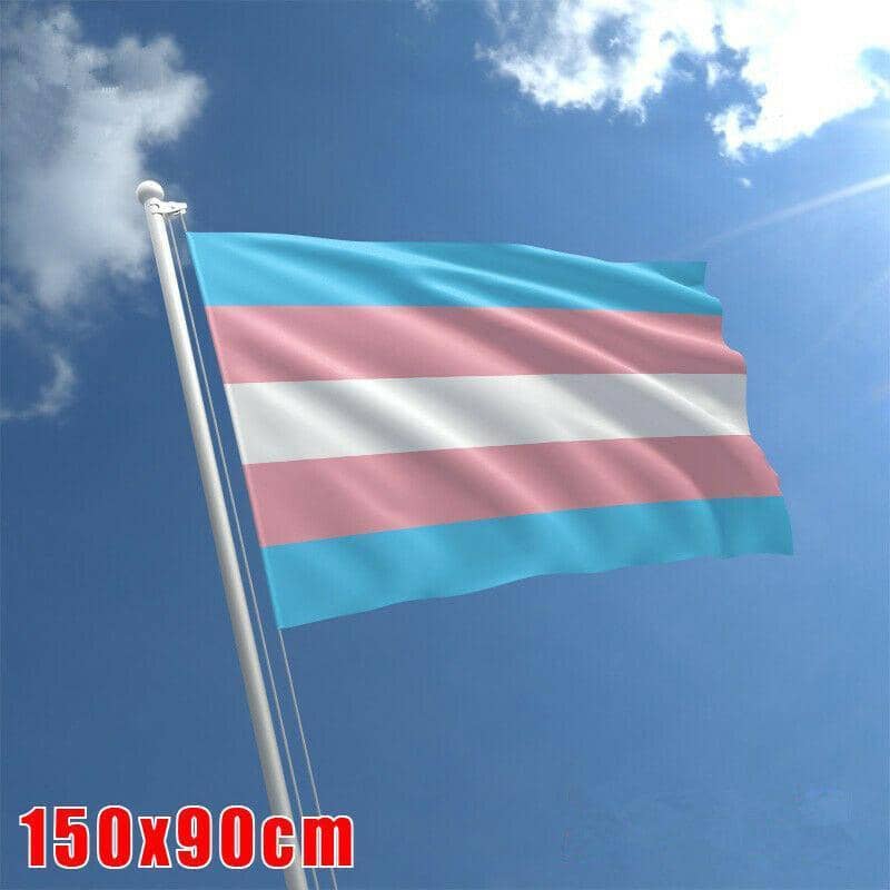 Transgender Pride Flag, Large (90 x 150 cm)