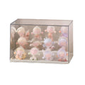 Transparent Blind Box Display Case with Stepped Base - White, 30.5 x 19.5 x 18 cm