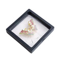 Transparent Jewellery Storage Boxes with PE Film, Pack of 10 - Black, 11 x 11 x 2 cm