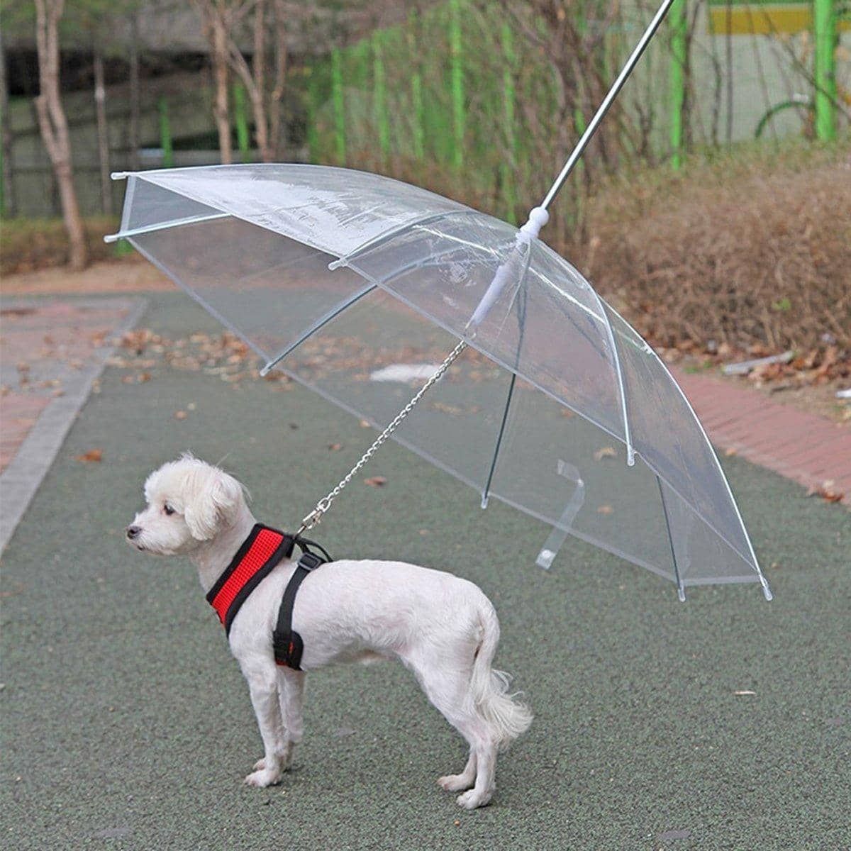 Transparent Pet Umbrella with Dog Leash, 30 Inch (77 cm) Diameter - view 5