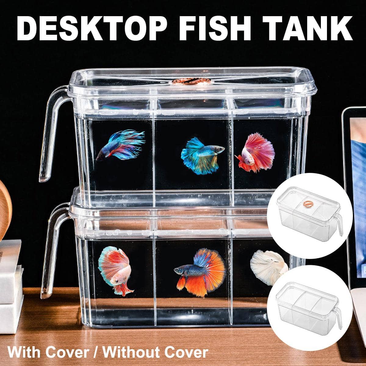 Transparent Small Desktop Fish Tank with Three Divisions - Without Cover - view 2