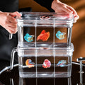Transparent Small Desktop Fish Tank with Three Divisions - Without Cover - view 5