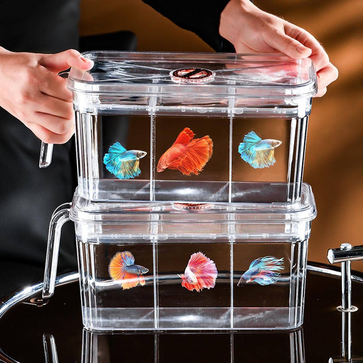 Transparent Small Desktop Fish Tank with Three Divisions - Without Cover - view 5