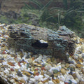Tree Log Reptile Hideout Cave, Resin - Large (24 x 6 x 8 cm) - view 5