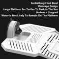Turtle Basking Platform with Climbing Ramp - Small (14 x 13 cm) - view 5