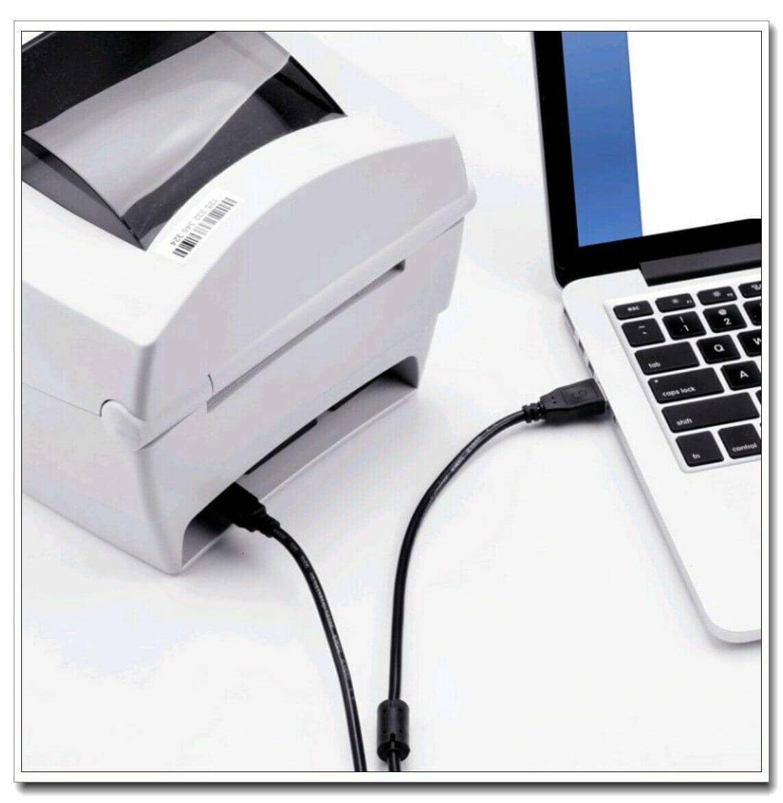 USB 2.0 Type A to Type B Printer Cable - 5 m - view 5