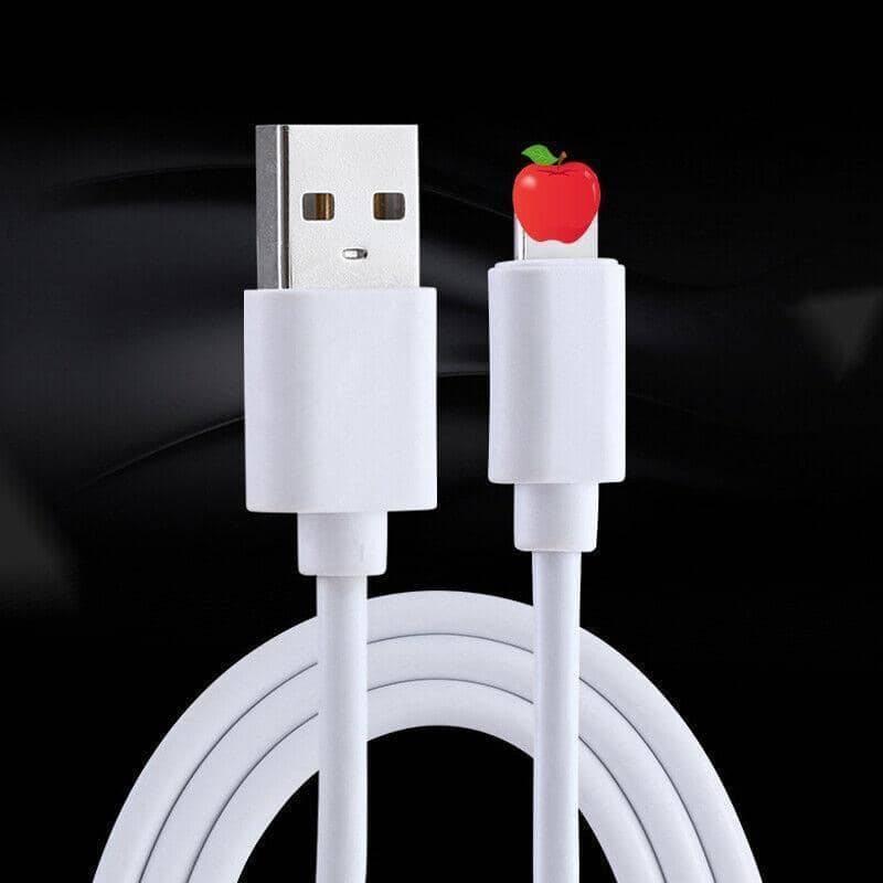 USB Charging and Data Cable for iPhone and iPad - Pack of 6 - view 4