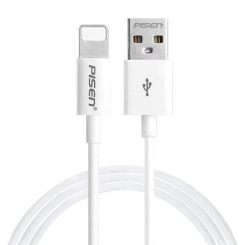USB to Lightning Fast Charging Data Cable for iPhone and iPad - 1 m