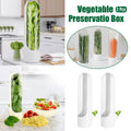 Vegetable and Herb Fresh Storage Containers for the Fridge, Set of 2