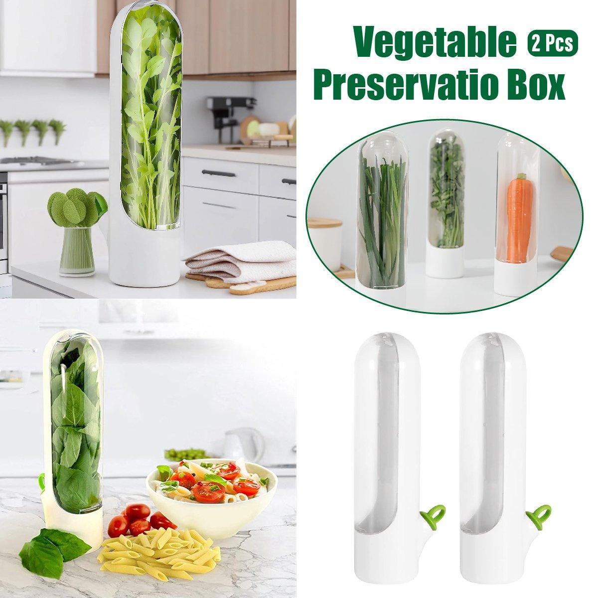 Vegetable and Herb Fresh Storage Containers for the Fridge, Set of 2