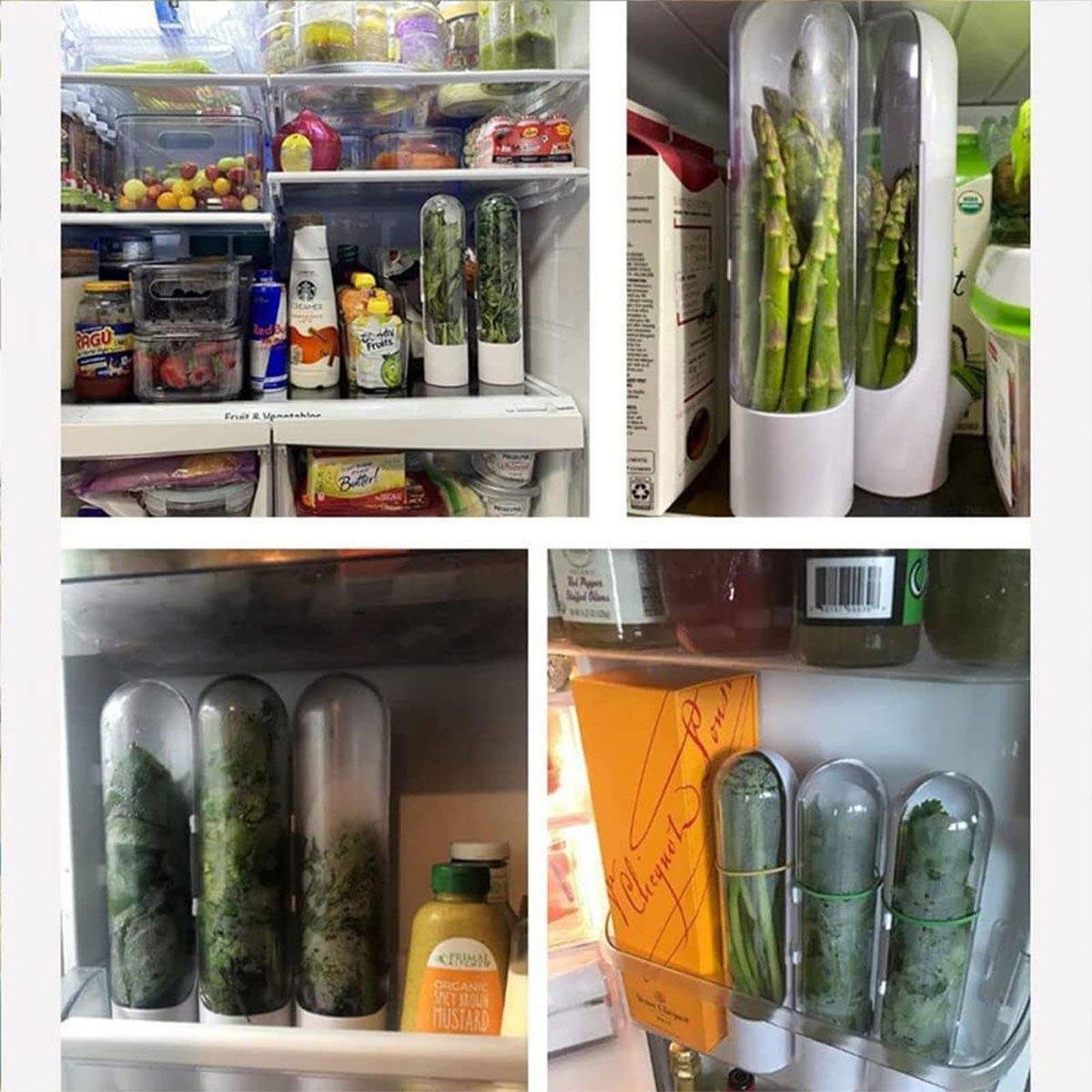 Vegetable and Herb Fresh Storage Containers for the Fridge, Set of 2 - view 5