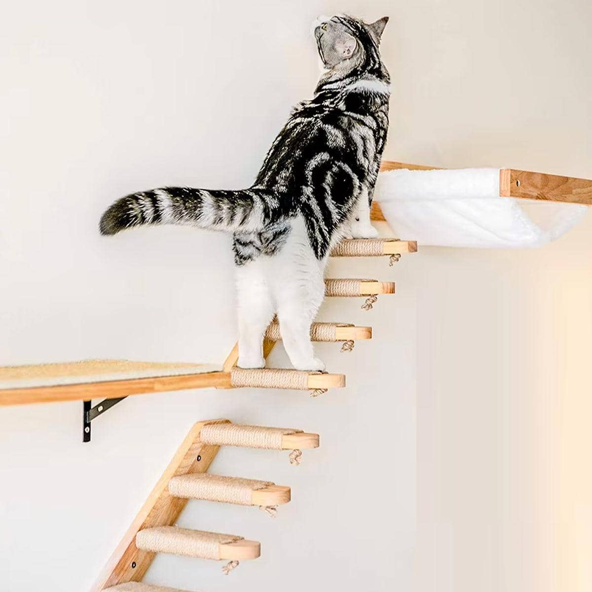 Wall Mounted 4 Step Cat Climbing Shelf with Sisal Wrapped Steps - view 4