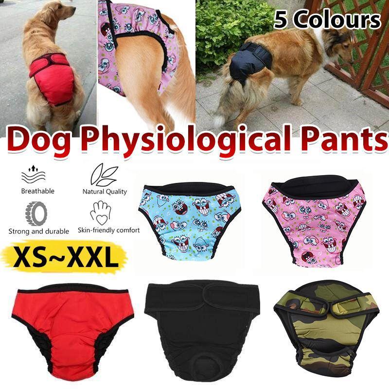Washable Female Dog Nappy Pants - Pink, Size XS (Chest 35-45 cm) - view 13