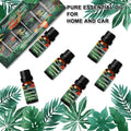 Water-Soluble Aromatherapy Essential Oils, 6 Pack - Green Box - view 5