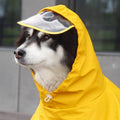 Waterproof Dog Raincoat with Hood - Yellow, Size 2XL (Dog Back Length 39 cm) - view 4