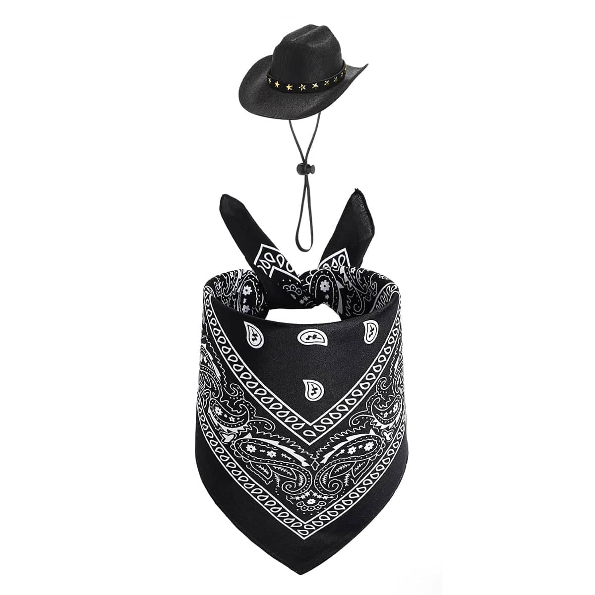 Western Cowboy Hat and Paisley Bandana Pet Costume Set - Black