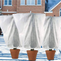 Winter Frost Proof Non-Woven Plant Cover - 100 x 120 cm - view 5