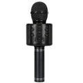 Wireless Bluetooth Karaoke Microphone Speaker - Black