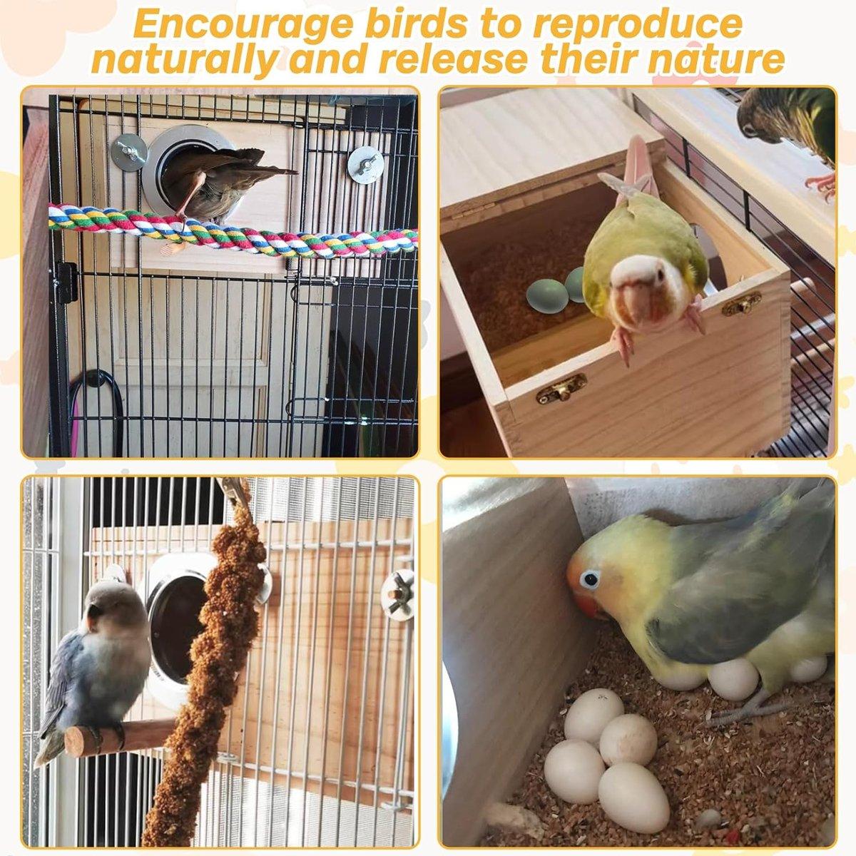 Wooden Parrot Breeding Box with Right Opening - view 5
