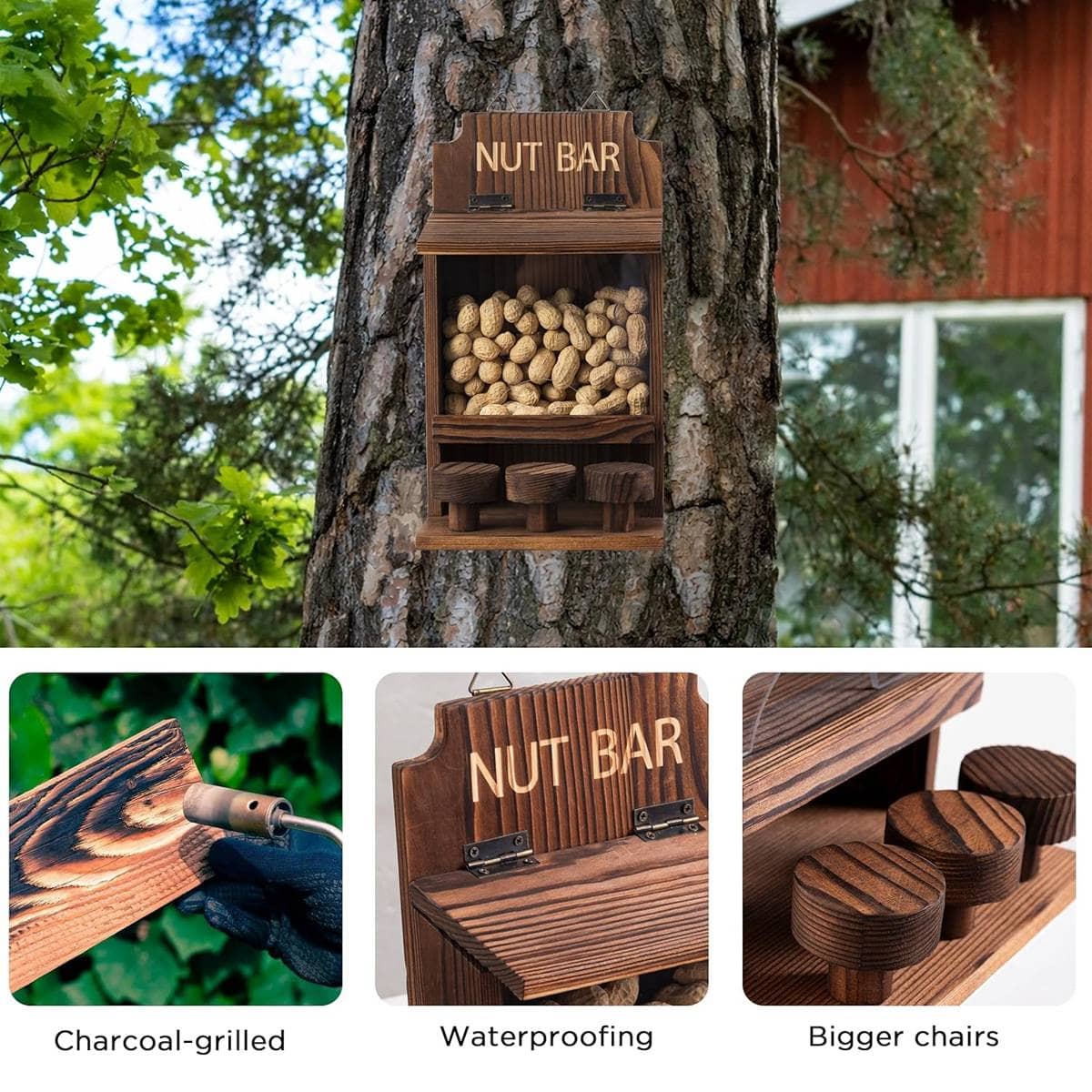 Wooden Squirrel Feeder with Clear Window and Three Perch Stools - view 5