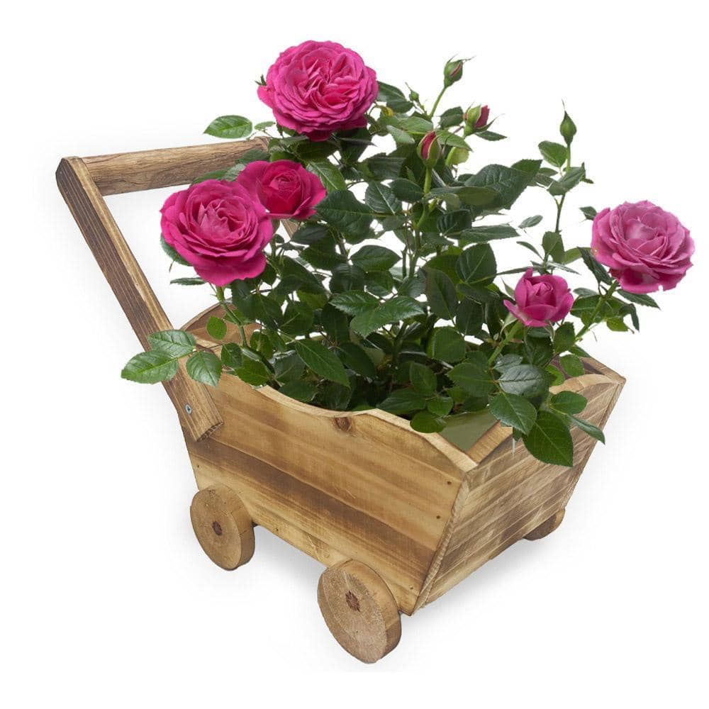 Wooden Wheelbarrow Planter with Removable Handle - view 2