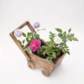 Wooden Wheelbarrow Planter with Removable Handle - view 5