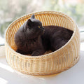 Woven Open Cat Nest Bed, PE Imitation Rattan - Lime Green - view 5