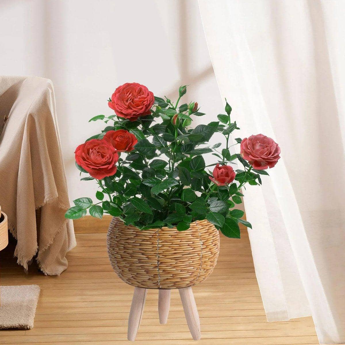 Woven Rattan Planter with Wooden Legs - Golden Yellow, Cylindrical - view 5