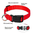 XS Adjustable Nylon Dog Collar, 20-30 cm - Mustard Yellow - view 4